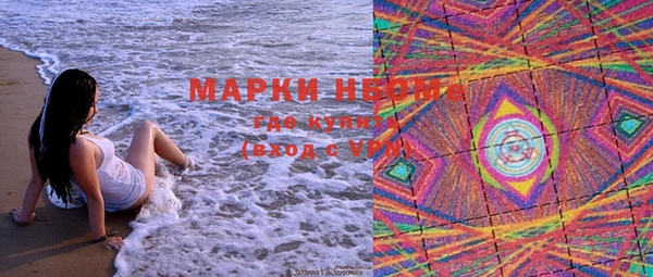 дживик Карпинск