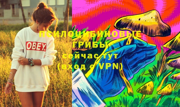 дживик Карпинск