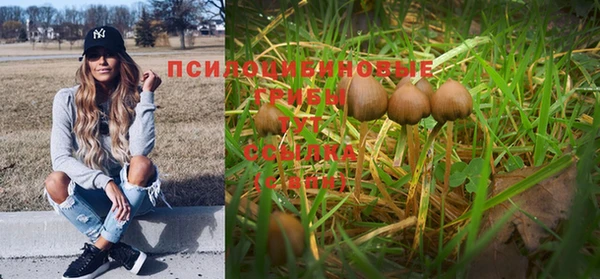 дживик Карпинск