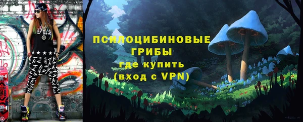 a pvp Касимов