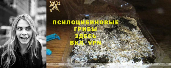 дживик Карпинск