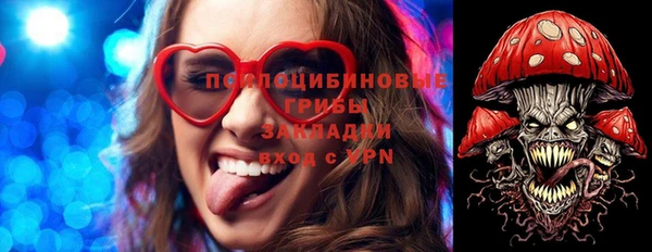 дживик Карпинск