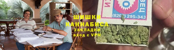 дживик Карпинск