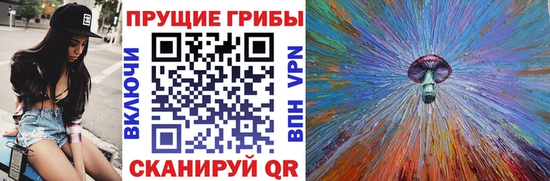 Купить где  Бирск  Псилоцибиновые грибы MAGIC MUSHROOMS 